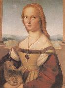 RAFFAELLO Sanzio Portrait of younger woman painting